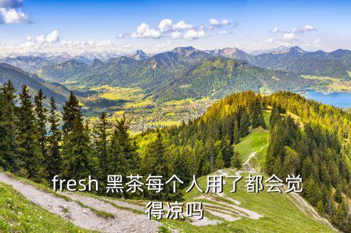 fresh面膜黑茶怎么樣...
